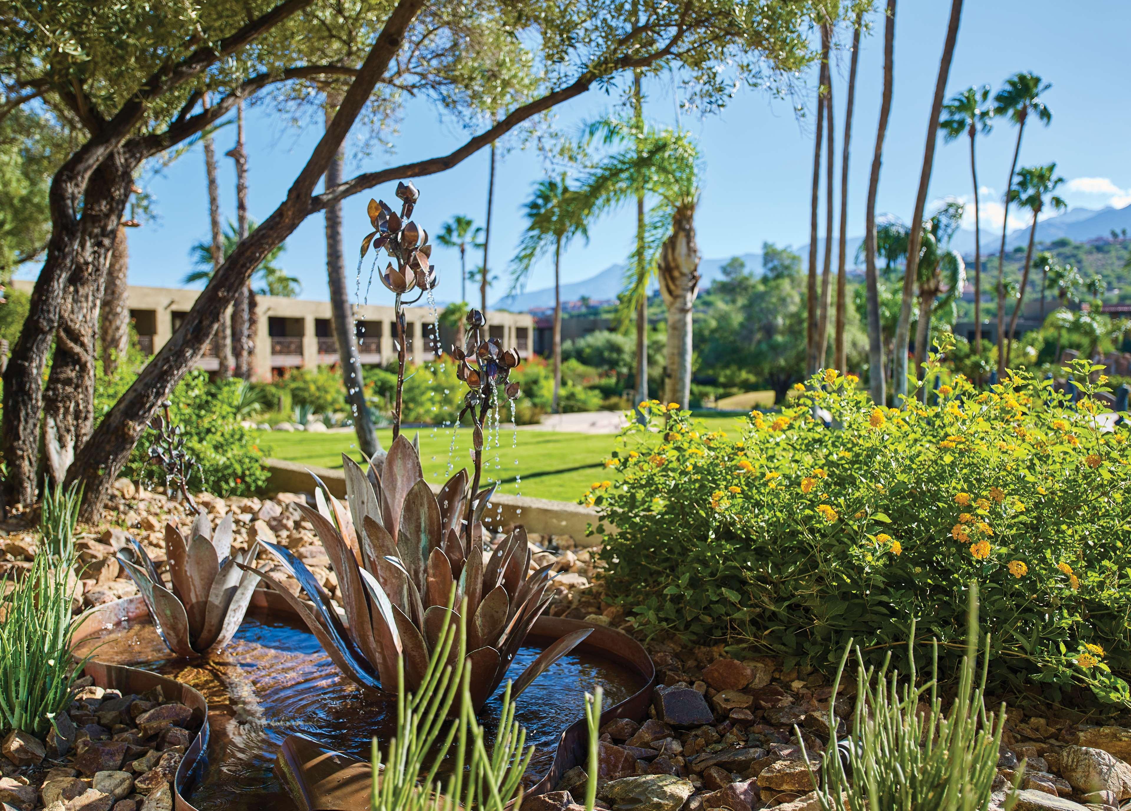 El Conquistador Tucson, A Hilton Resort Оро-Вейлі Екстер'єр фото