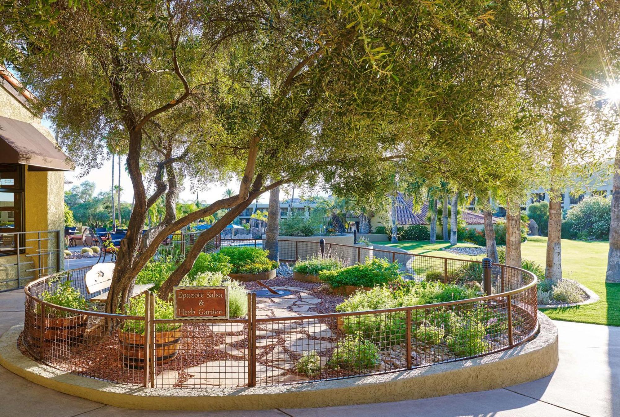 El Conquistador Tucson, A Hilton Resort Оро-Вейлі Екстер'єр фото